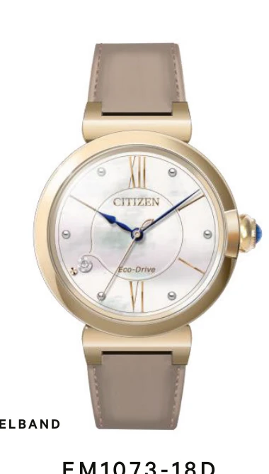 Citizen EM1073-18D