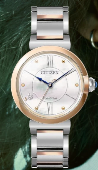 Citizen EM1074-82D